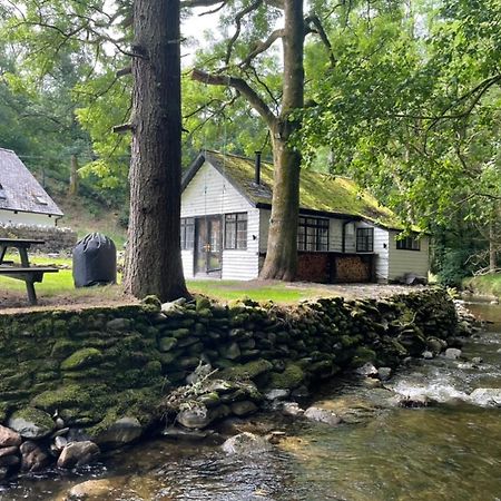 Willa Cuckoo Cabin, Tyn Y Cwm Eglwys-Fach Zewnętrze zdjęcie