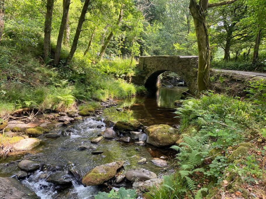 Cuckoo Cabin, Tyn Y Cwm Eglwys-Fach Zewnętrze zdjęcie