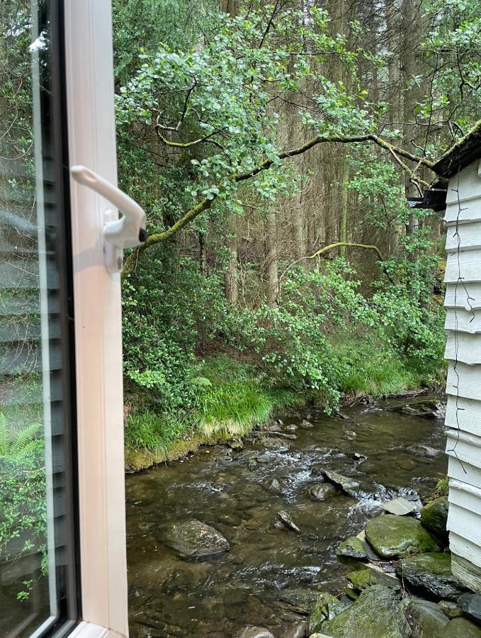 Cuckoo Cabin, Tyn Y Cwm Eglwys-Fach Zewnętrze zdjęcie